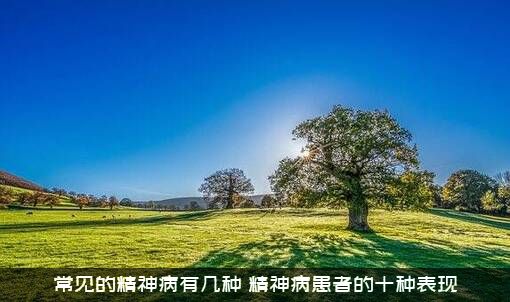 常见的精神病有几种（精神病患者的十种表现）