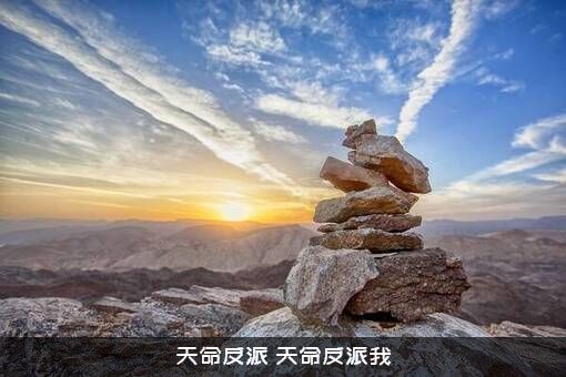 天命反派（天命反派我）