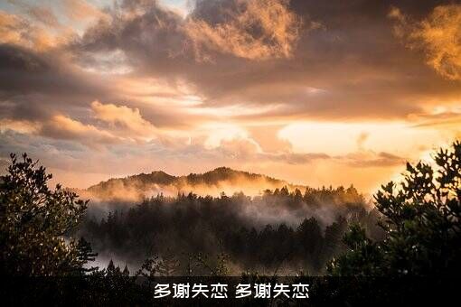 多谢失恋（多谢失恋）