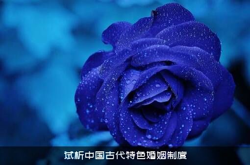 试析中国古代特色婚姻制度
