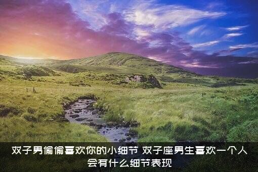 双子男偷偷喜欢你的小细节（双子座男生喜欢一个人会有什么细节表现）