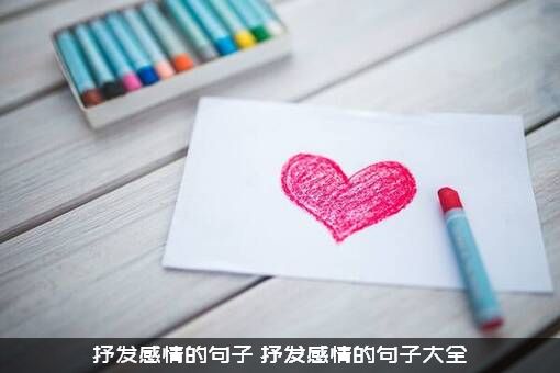 抒发感情的句子（抒发感情的句子大全）