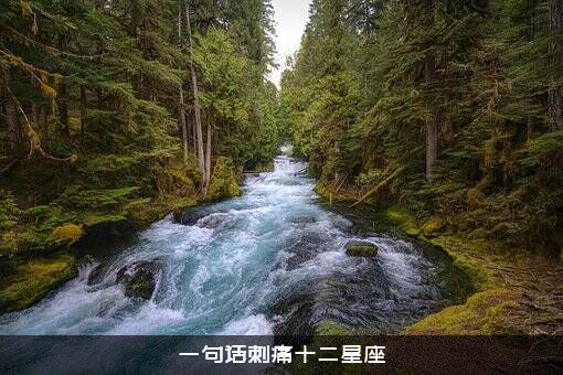一句话刺痛十二星座