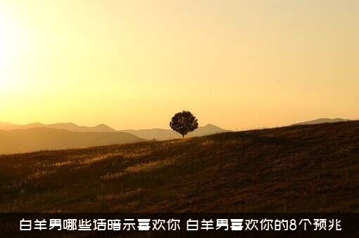 白羊男哪些话暗示喜欢你（白羊男喜欢你的8个预兆）