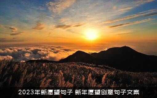 2023年新愿望句子（新年愿望创意句子文案）