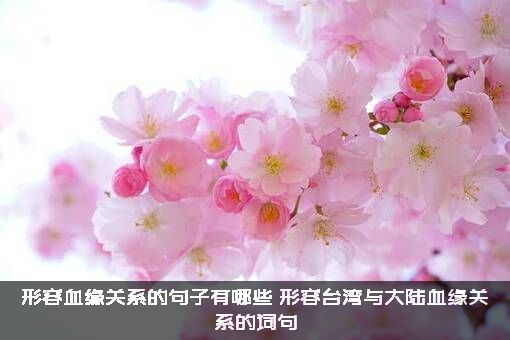 形容血缘关系的句子有哪些（形容台湾与大陆血缘关系的词句）