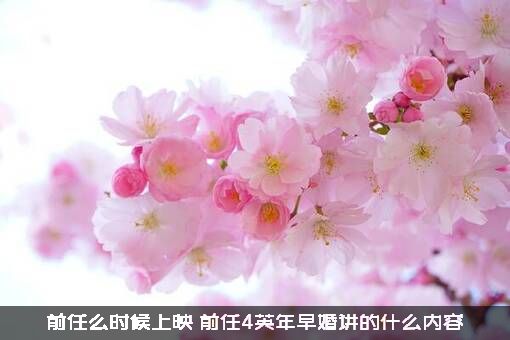 前任么时候上映（前任4英年早婚讲的什么内容）