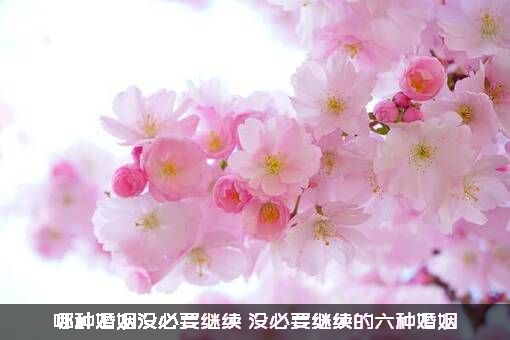 哪种婚姻没必要继续（没必要继续的六种婚姻）
