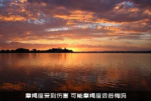 摩羯座受到伤害（可能摩羯座会后悔吗）