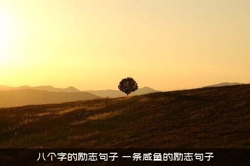 八个字的励志句子（一条咸鱼的励志句子）