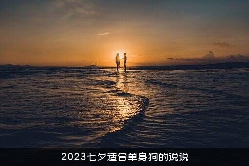 2023七夕适合单身狗的说说