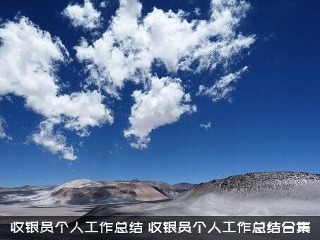 收银员个人工作总结（收银员个人工作总结合集）