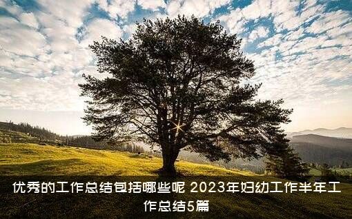 优秀的工作总结包括哪些呢（2023年妇幼工作半年工作总结5篇）