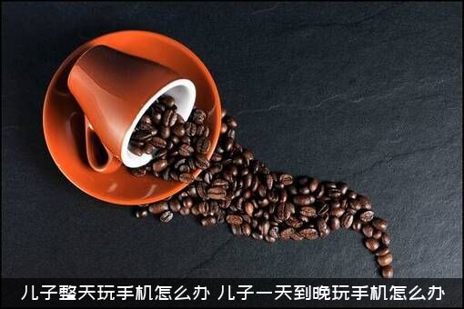 儿子整天玩手机怎么办（儿子一天到晚玩手机怎么办）