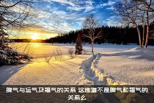 脾气与运气及福气的关系（这难道不是脾气和福气的关系么）