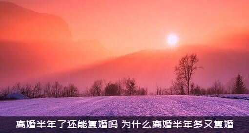 离婚半年了还能复婚吗（为什么离婚半年多又复婚）