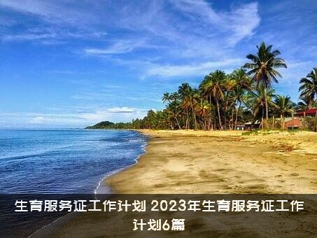 生育服务证工作计划（2023年生育服务证工作计划6篇）