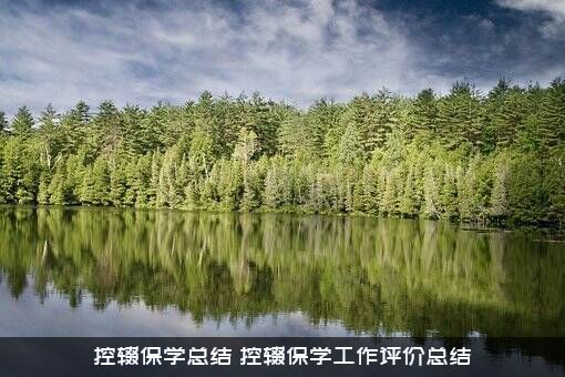 控辍保学总结（控辍保学工作评价总结）