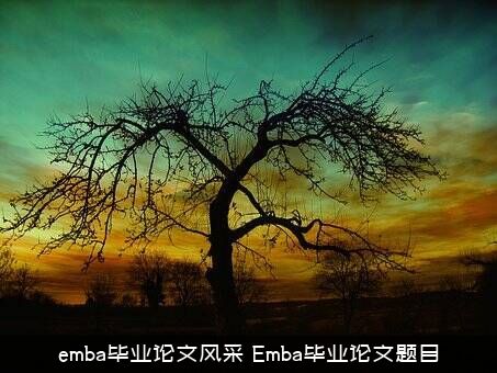 emba毕业论文风采（Emba毕业论文题目）