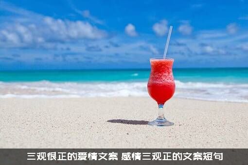 三观很正的爱情文案（感情三观正的文案短句）