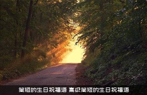 简短的生日祝福语（高级简短的生日祝福语）