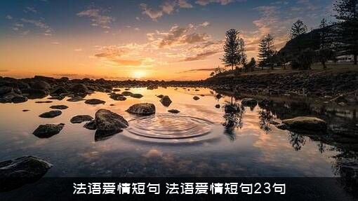 法语爱情短句（法语爱情短句23句）