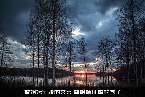 替姐妹征婚的文案（替姐妹征婚的句子）