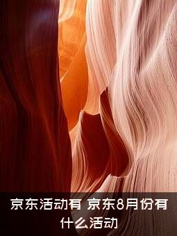 京东活动有（京东8月份有什么活动）