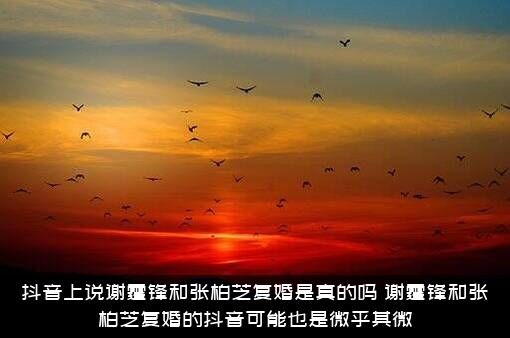抖音上说谢霆锋和张柏芝复婚是真的吗？谢霆锋和张柏芝复婚的抖音可能也是微乎其微