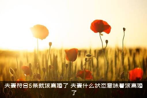夫妻符合5条就该离婚了（夫妻什么状态意味着该离婚了）