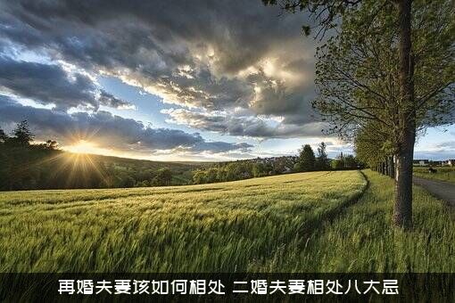 再婚夫妻该如何相处（二婚夫妻相处八大忌）