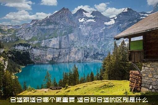 合适跟适合哪个更重要？适合和合适的区别是什么？