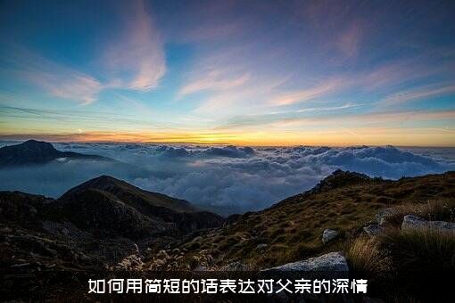如何用简短的话表达对父亲的深情