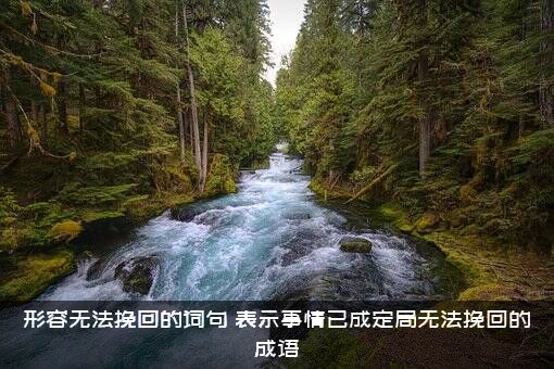 形容无法挽回的词句（表示事情已成定局无法挽回的成语）