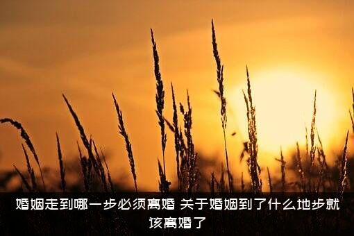 婚姻走到哪一步必须离婚？关于婚姻到了什么地步就该离婚了？