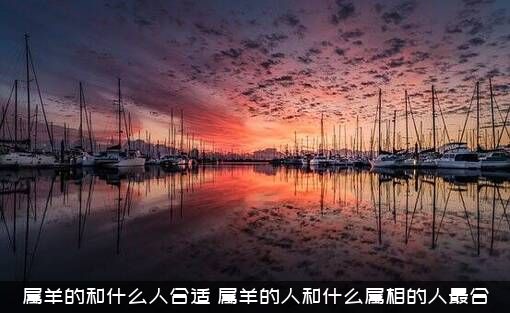 属羊的和什么人合适？属羊的人和什么属相的人最合？