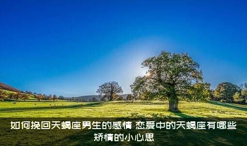 如何挽回天蝎座男生的感情？恋爱中的天蝎座有哪些矫情的小心思？