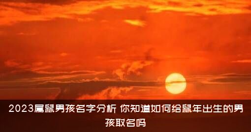 2023属鼠男孩名字分析（你知道如何给鼠年出生的男孩取名吗）