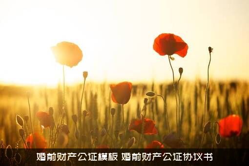 婚前财产公证模板（婚前财产公证协议书）