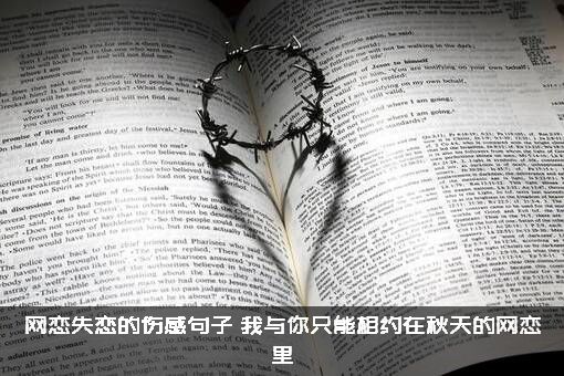 网恋失恋的伤感句子（我与你只能相约在秋天的网恋里）