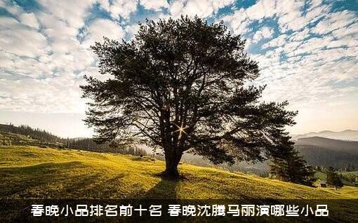 春晚小品排名前十名（春晚沈腾马丽演哪些小品）