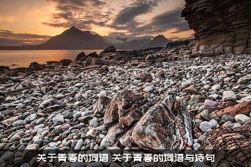 关于青春的词语（关于青春的词语与诗句）