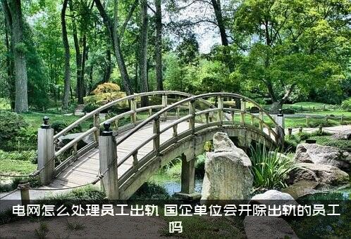 电网怎么处理员工出轨？国企单位会开除出轨的员工吗？