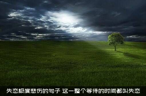 失恋极度悲伤的句子（这一整个等待的时间都叫失恋）