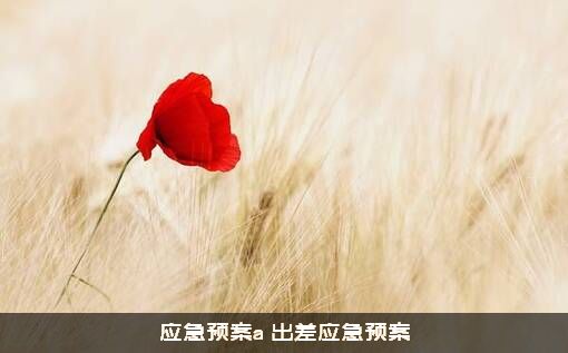 应急预案a（出差应急预案）