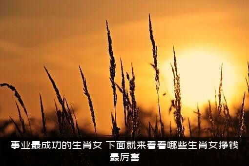 事业最成功的生肖女（下面就来看看哪些生肖女挣钱最厉害）