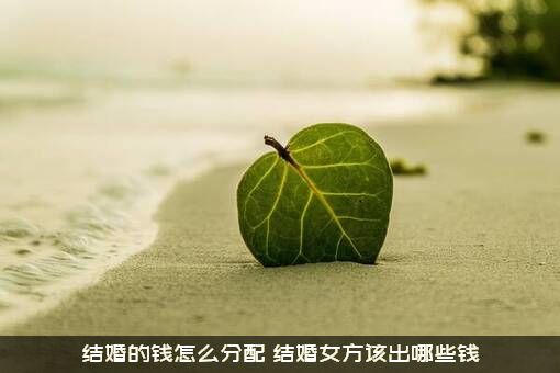 结婚的钱怎么分配？结婚女方该出哪些钱？