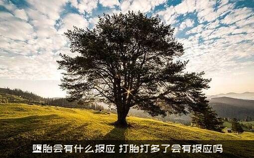 堕胎会有什么报应（打胎打多了会有报应吗）
