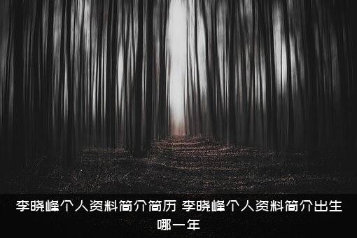 李晓峰个人资料简介简历（李晓峰个人资料简介出生哪一年）