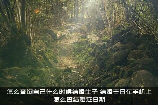 怎么查询自己什么时候结婚生子？结婚吉日在手机上怎么查结婚证日期？
